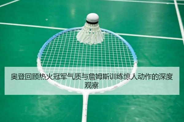 奥登回顾热火冠军气质与詹姆斯训练惊人动作的深度观察